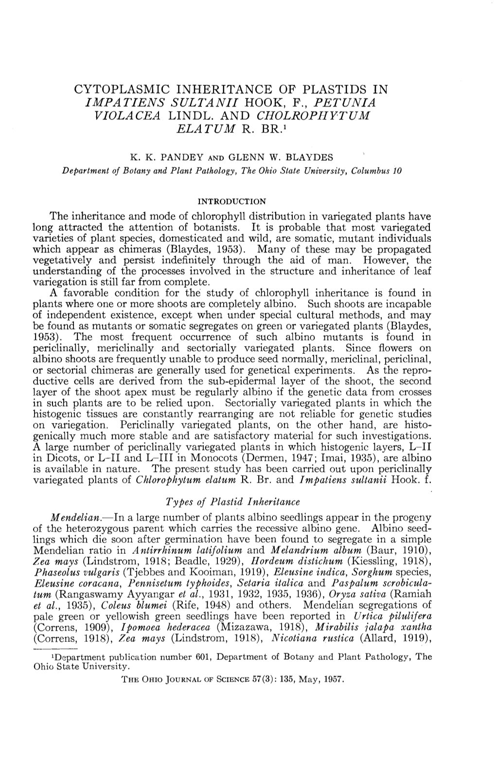 Cytoplasmic Inheritance of Plastids in Impatiens Sultanii Hook, F., Petunia