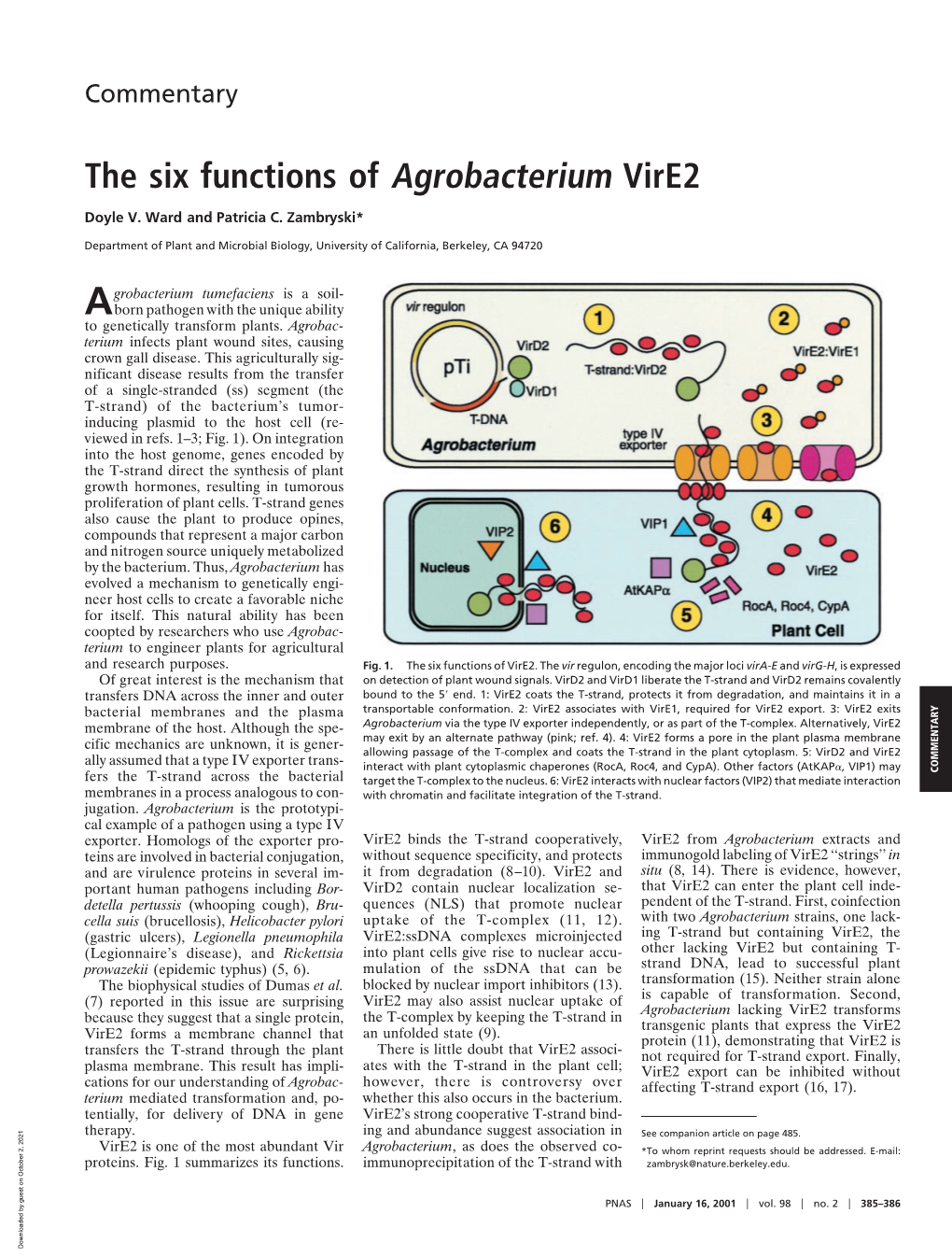 The Six Functions of Agrobacterium Vire2