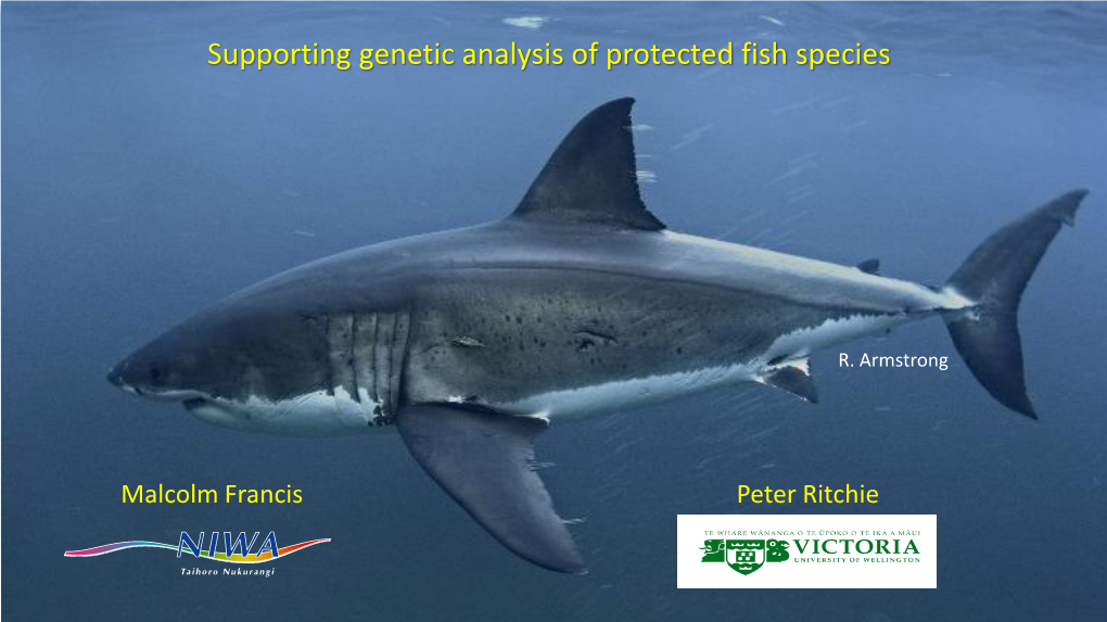 Supporting Genetic Analysis of Protected Fish Species