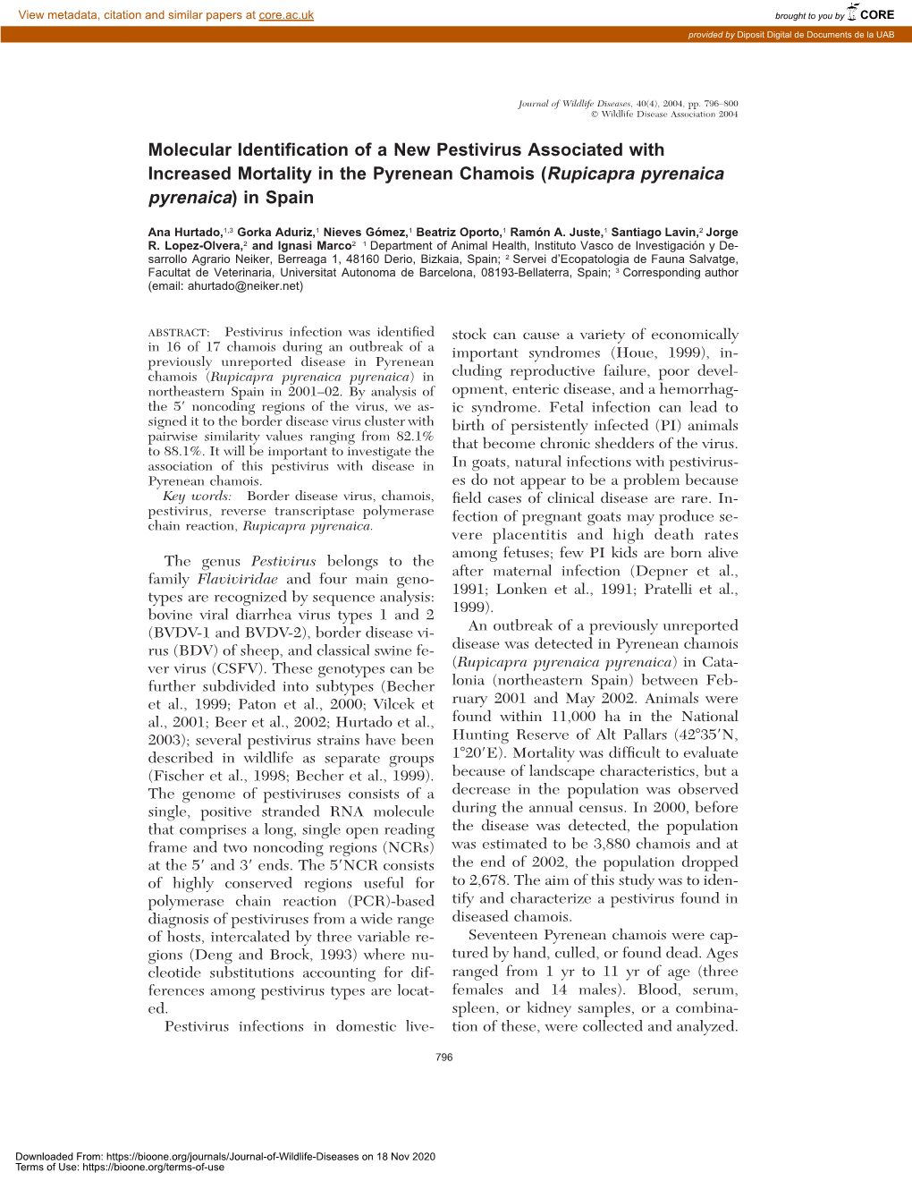 Molecular Identification of a New Pestivirus Associated With