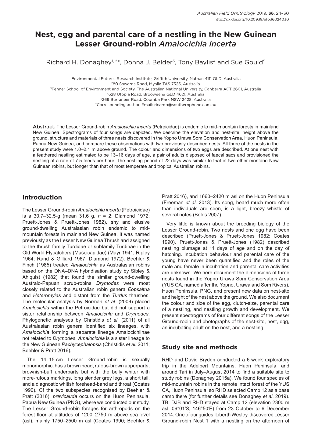 Nest, Egg and Parental Care of a Nestling in the New Guinean Lesser Ground-Robin Amalocichla Incerta