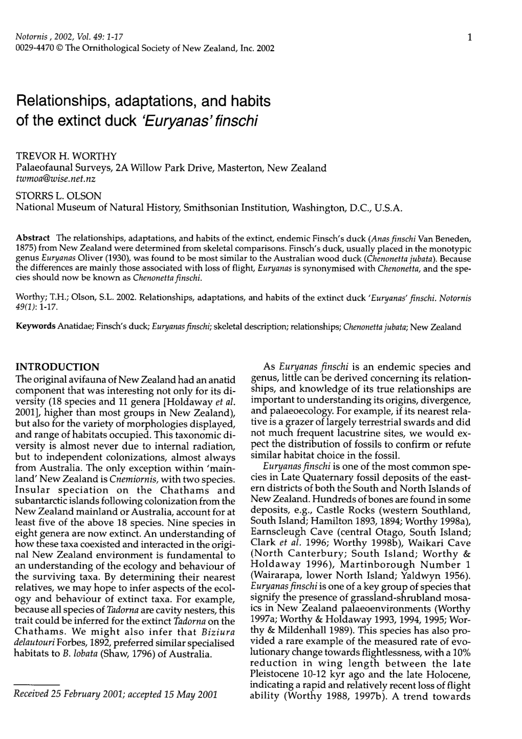 Relationships, Adaptations, and Habits of the Extinct Duck 'Euryanas'finschi