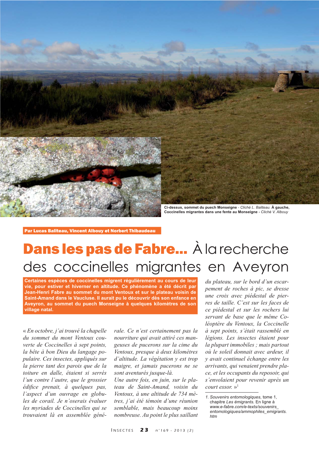 A La Recherche Des Coccinelles Migrantes En Aveyron / Insectes N