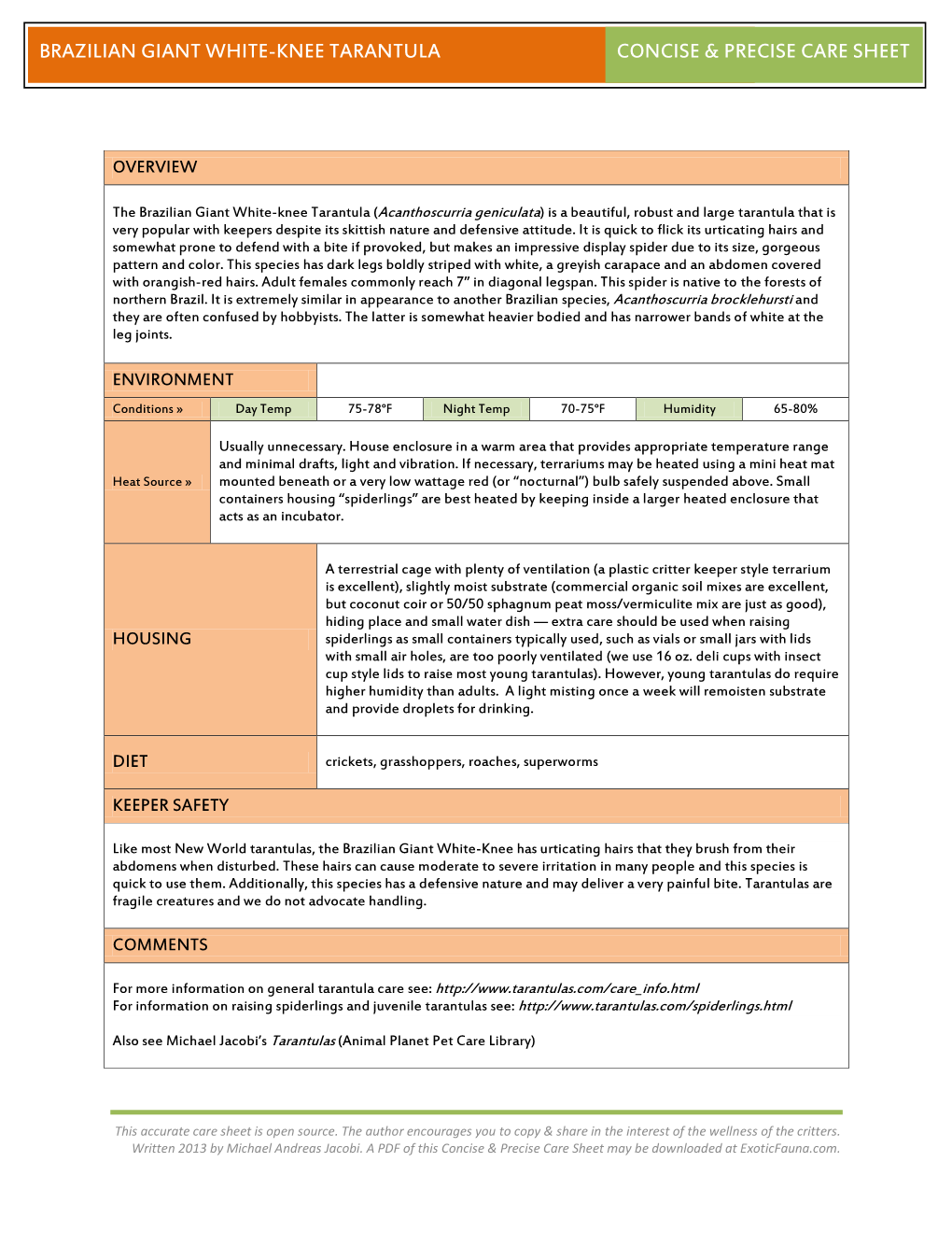 Brazilian Giant White-Knee Tarantula Concise & Precise Care Sheet Glaking