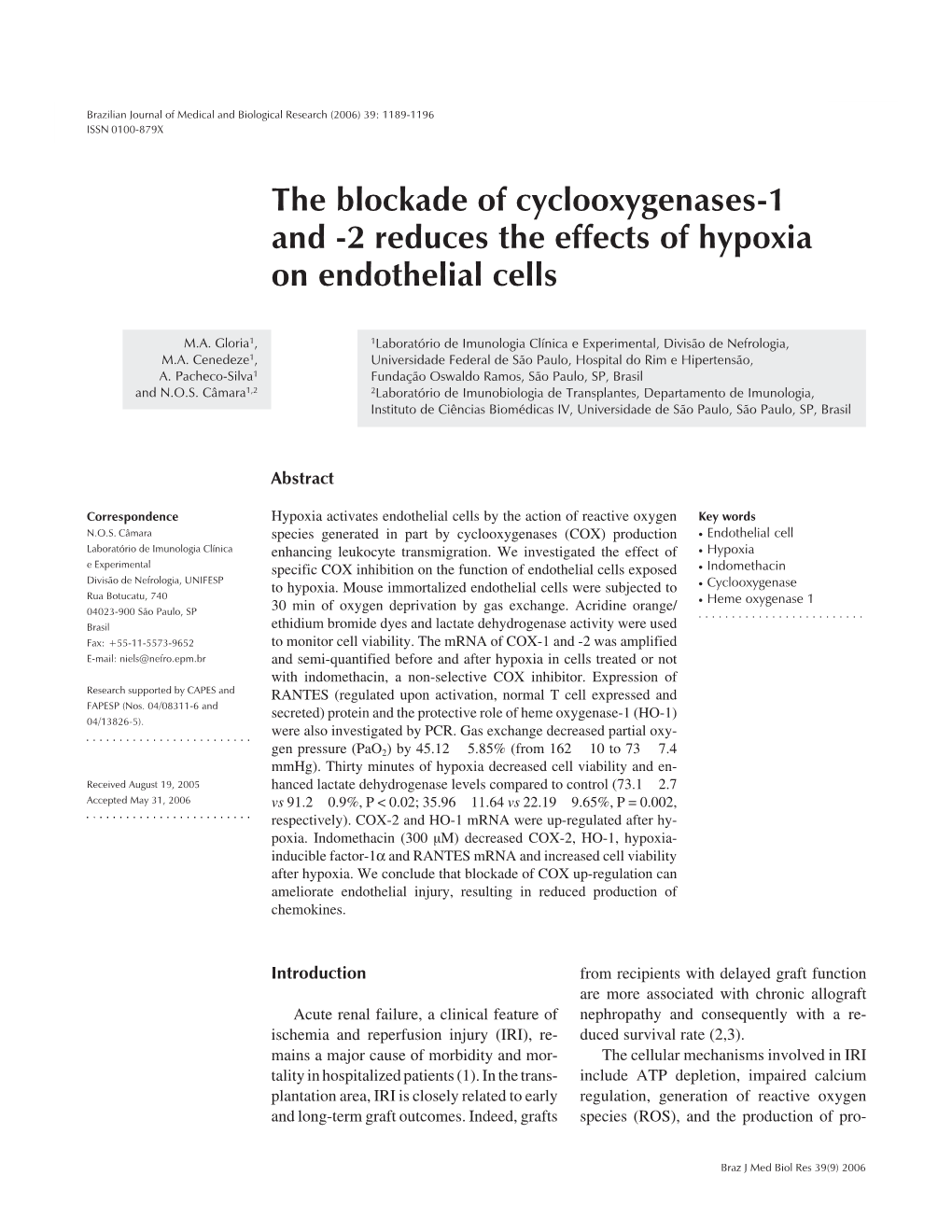 The Blockade of Cyclooxygenases-1 and -2 Reduces the Effects of Hypoxia on Endothelial Cells