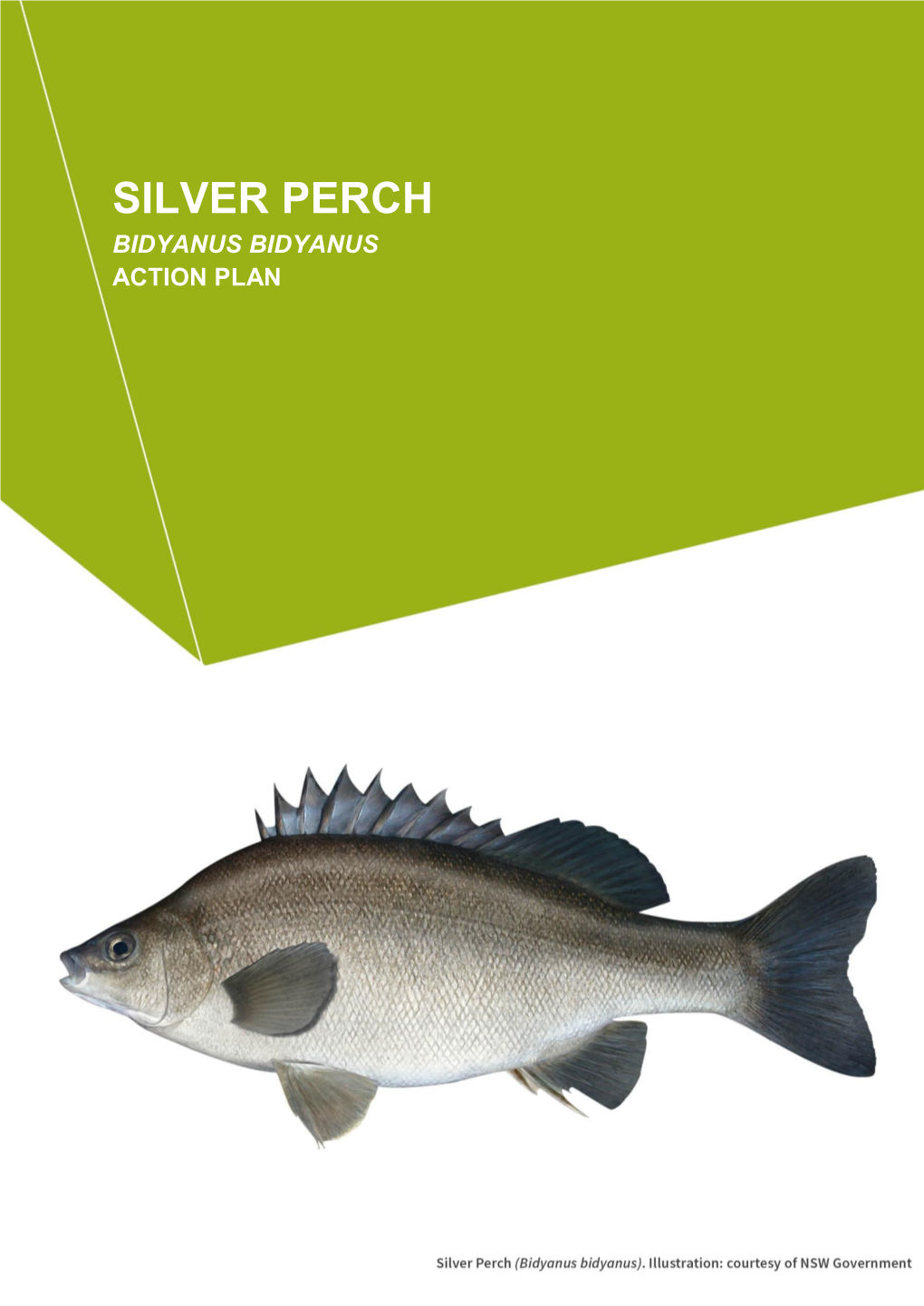 Silver Perch Action Plan 205