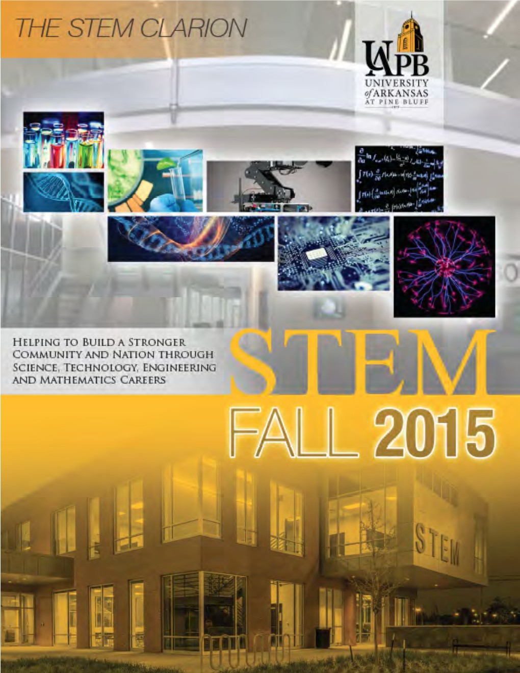 Revised Digital STEM Clarion 2015.Pdf