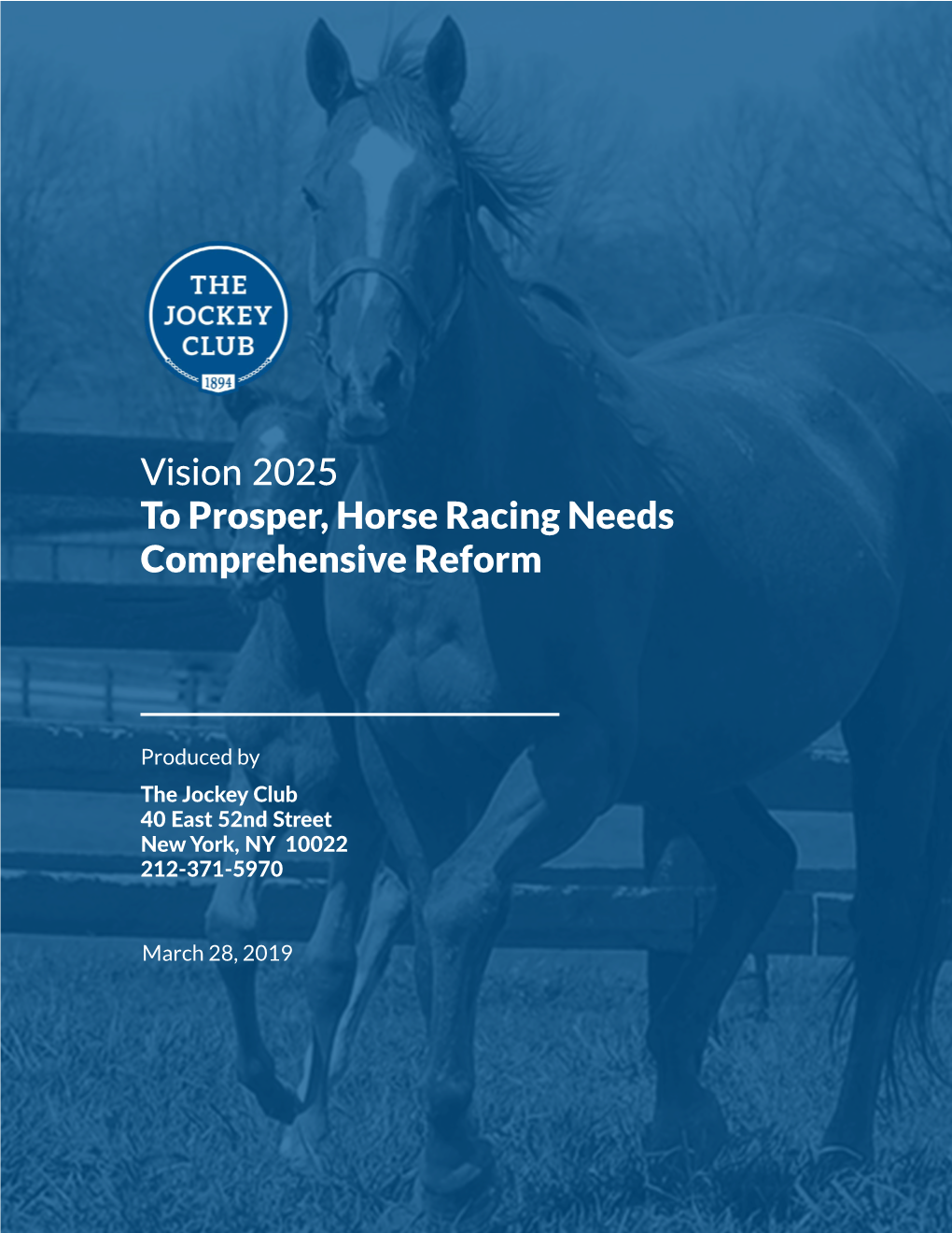 Vision 2025 to Prosper, Horse Racing Needs Comprehensive Reform