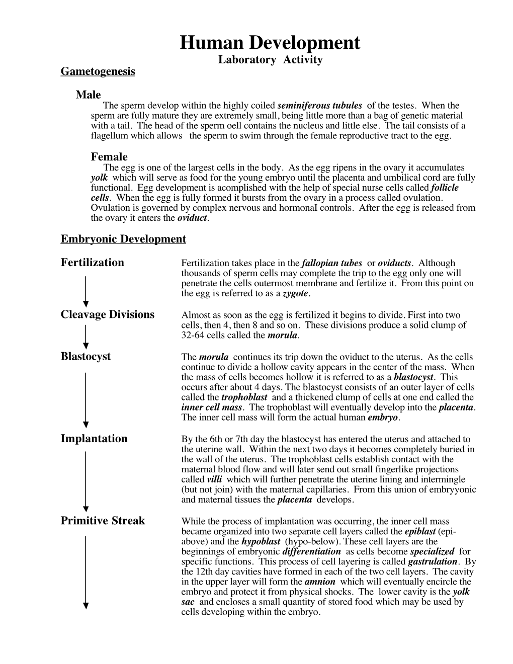 Human Development Summary