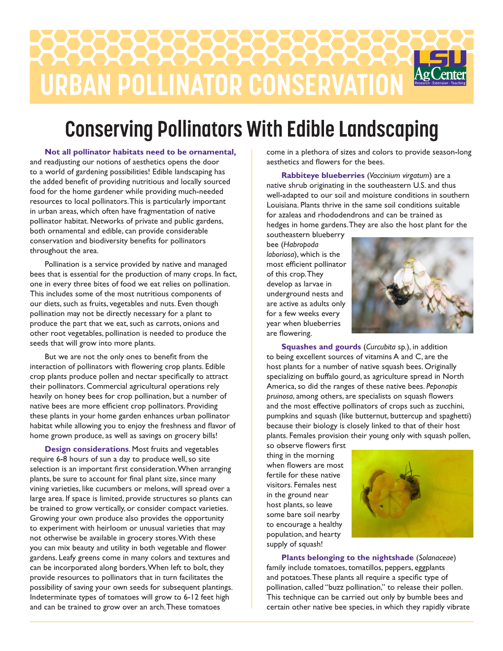 Conserving Pollinators with Edible Landscaping