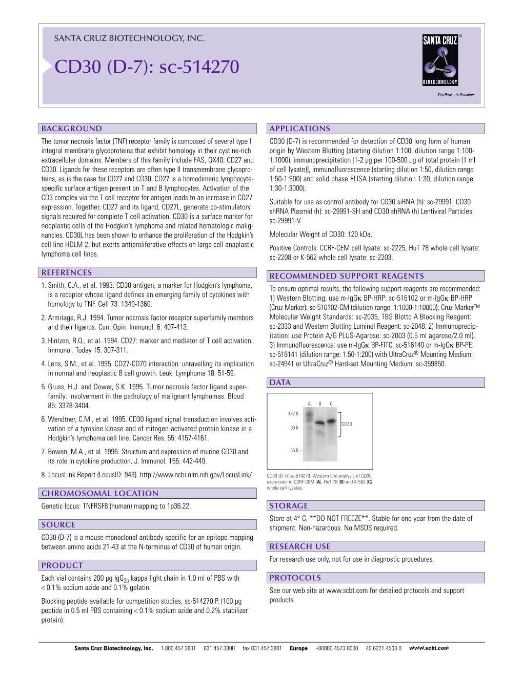 Datasheet Blank Template