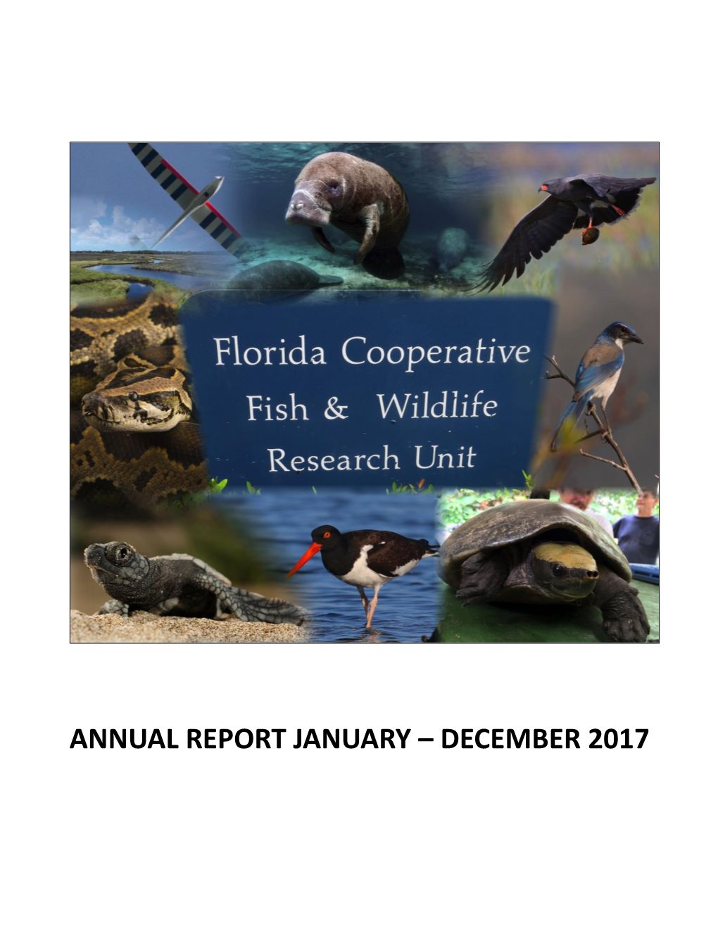 Annual Report January – December 2017