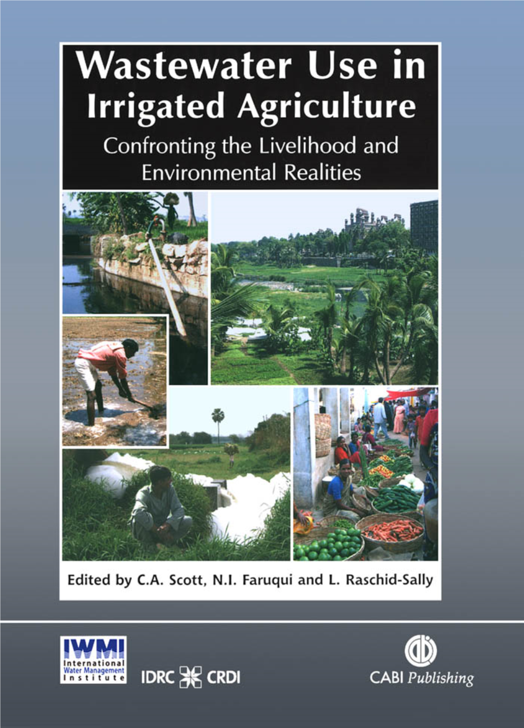 Wastewater Use in Irrigated Agriculture