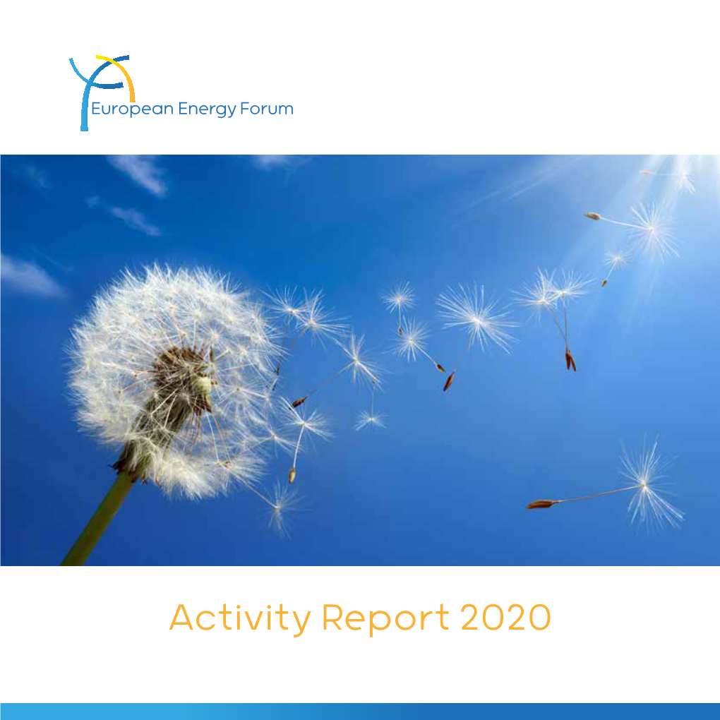 Activity Report 2020