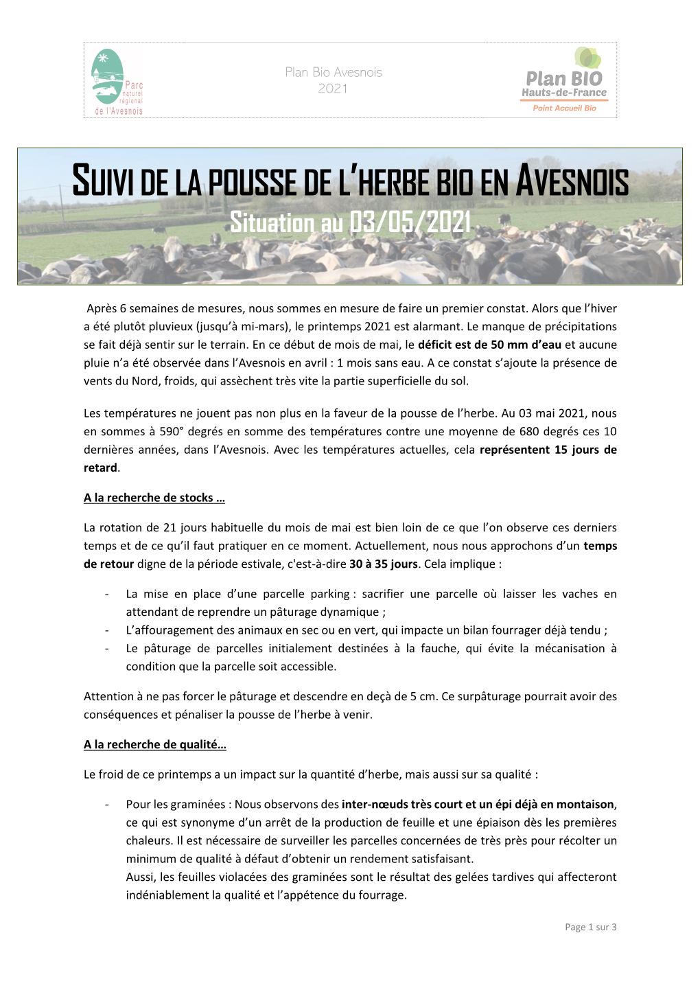 Pousse De L'herbe En Avesnois