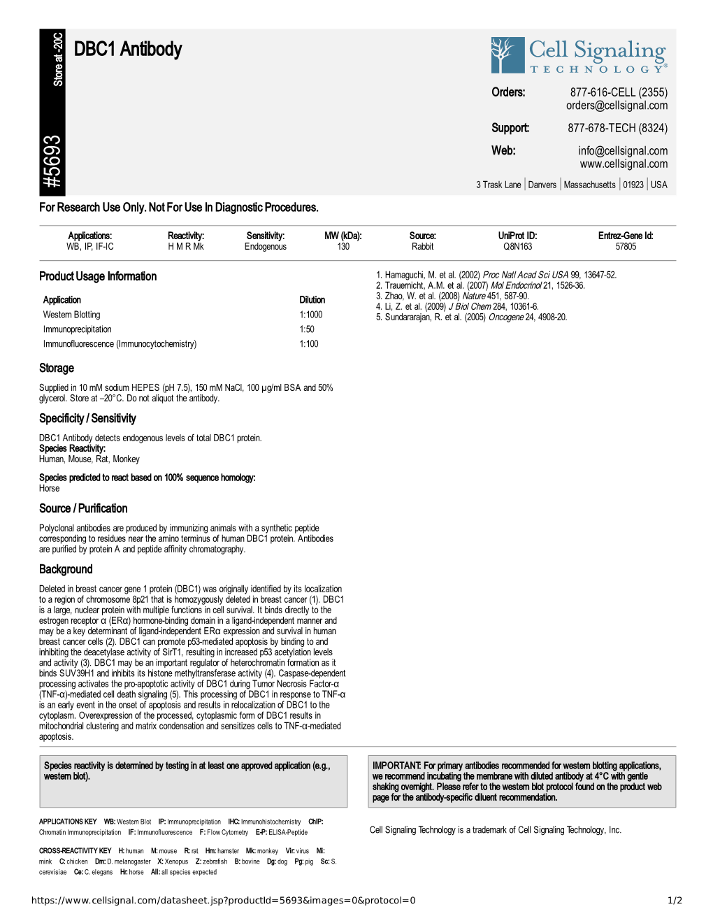 DBC1 Antibody A