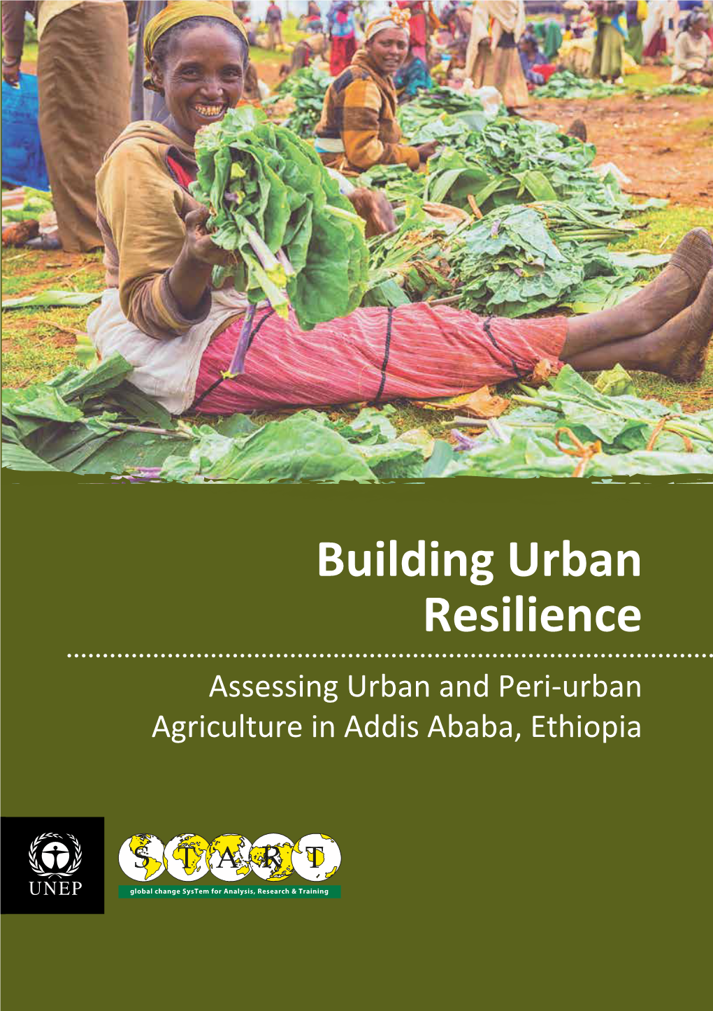 Building Urban Resilience Assessing Urban and Peri Urban Agriculture In