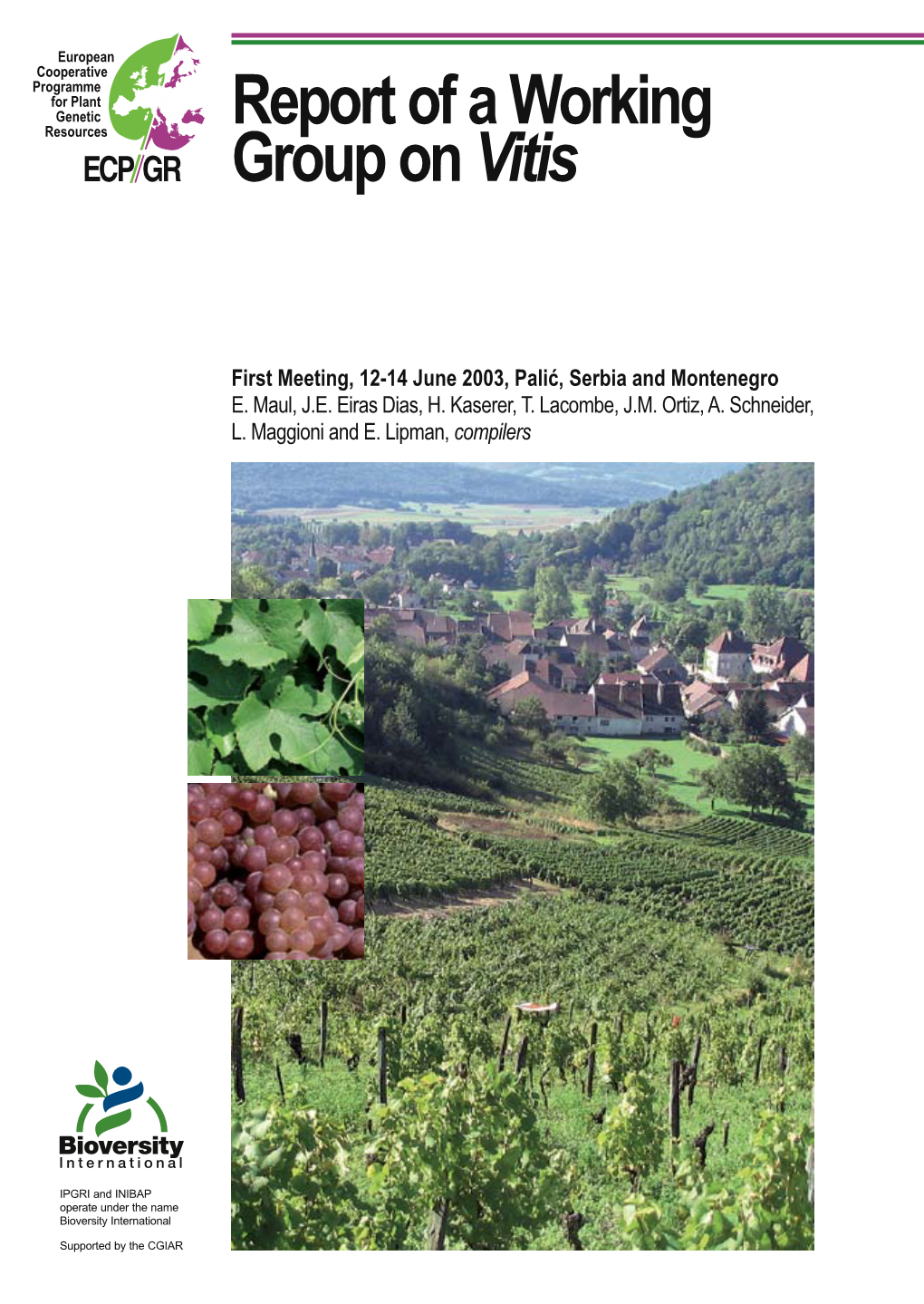 Report of a Working Group on Vitis: First Meeting