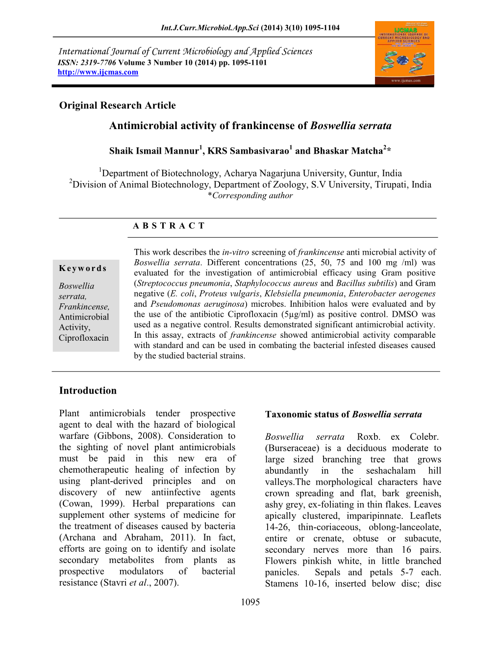 Antimicrobial Activity of Frankincense of Boswellia Serrata