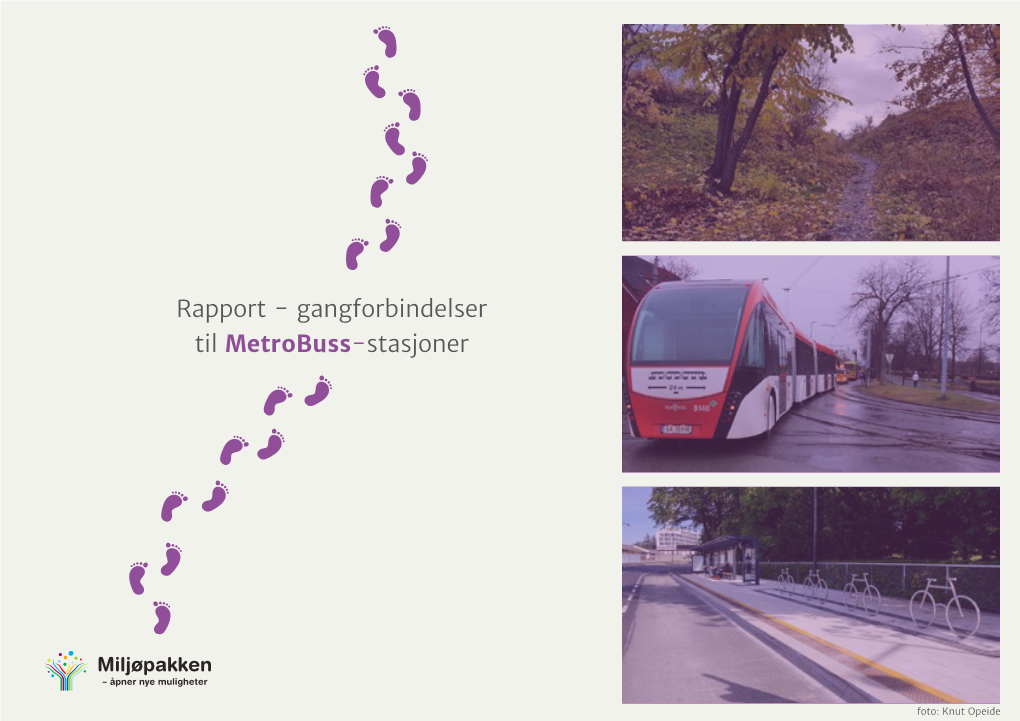 Rapport - Gangforbindelser Til Metrobuss-Stasjoner