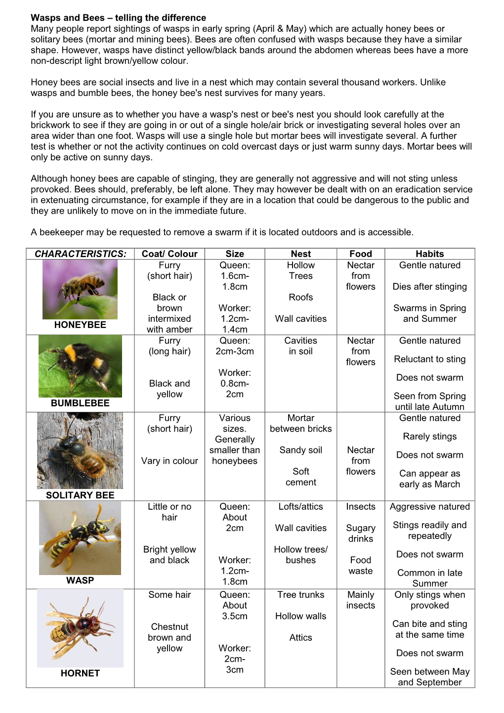 Wasps and Bees – Telling the Difference Many People Report