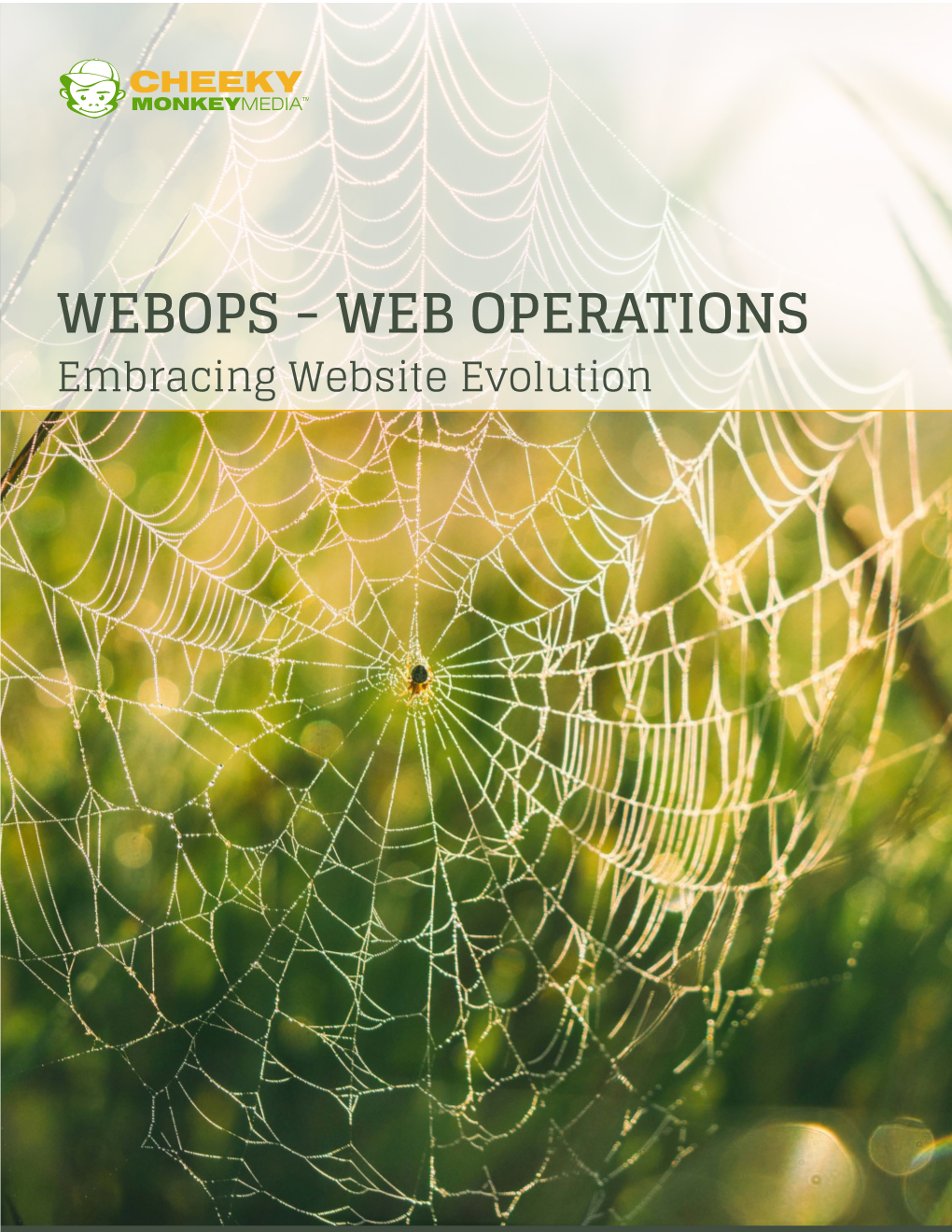 WEBOPS - WEB OPERATIONS Embracing Website Evolution