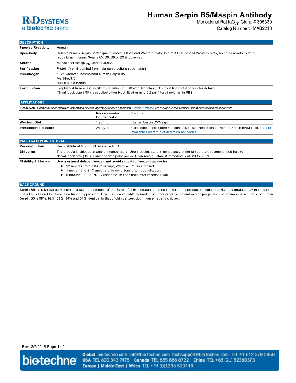 Human Serpin B5/Maspin Antibody