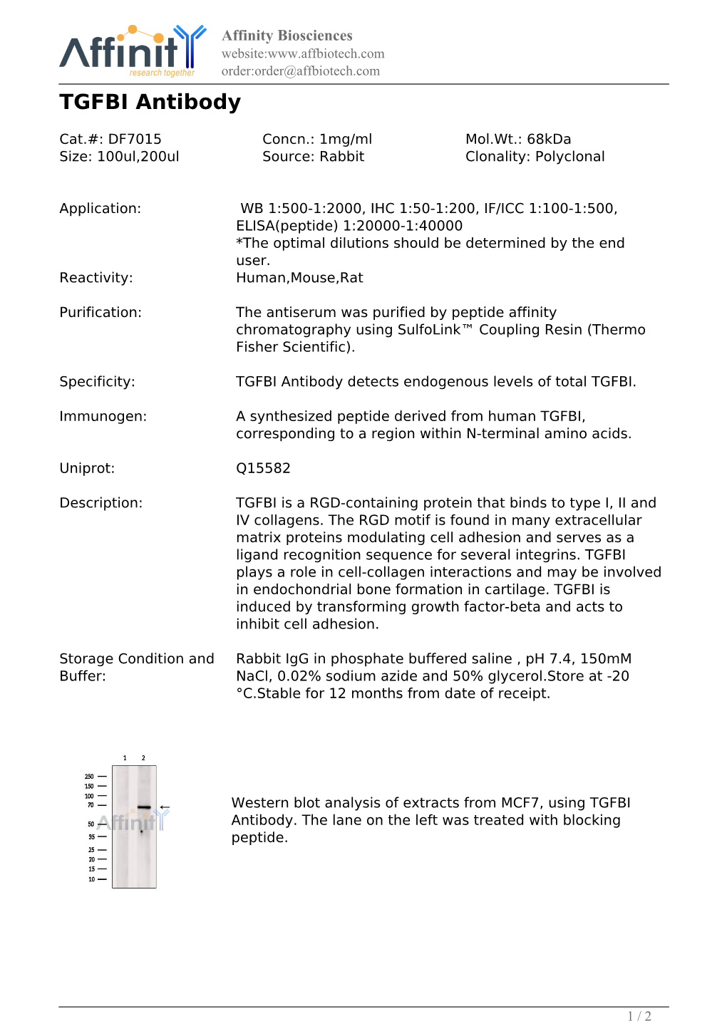 DF7015-TGFBI Antibody