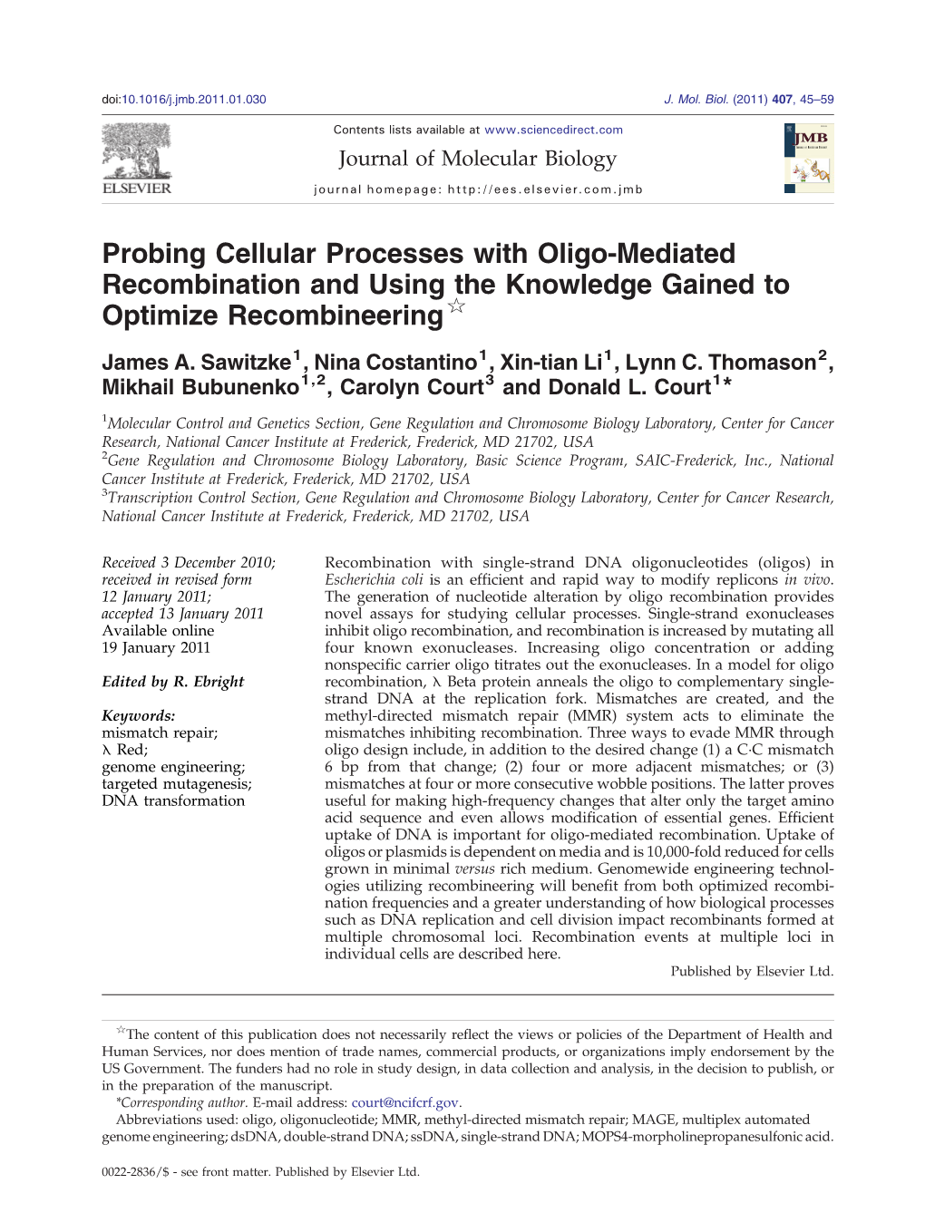 Oligo Optimization.Pdf