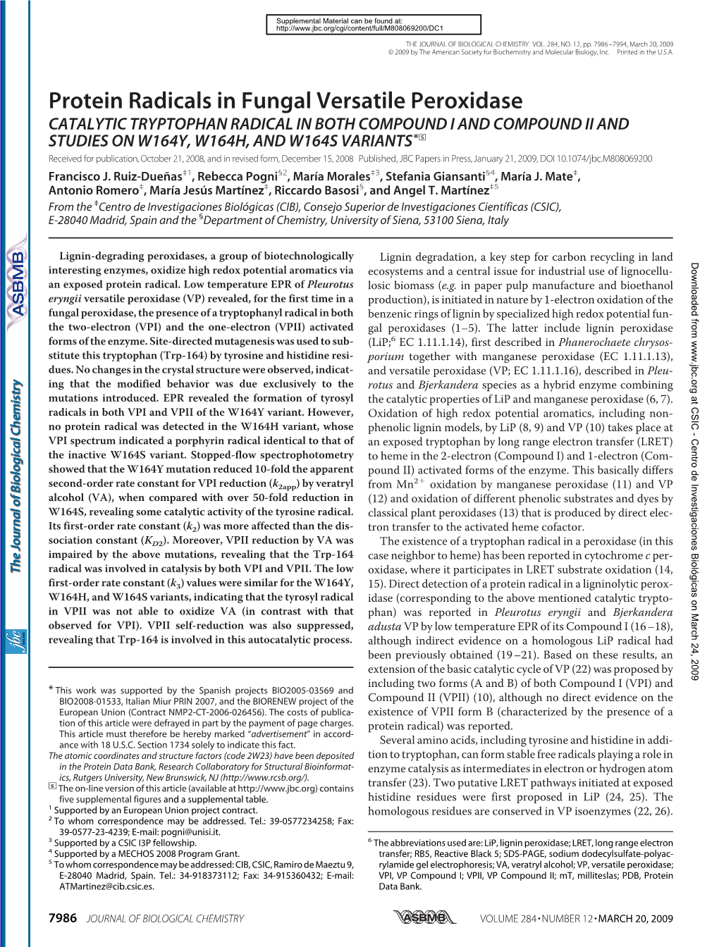 Protein Radicals in Fungal Versatile Peroxidase