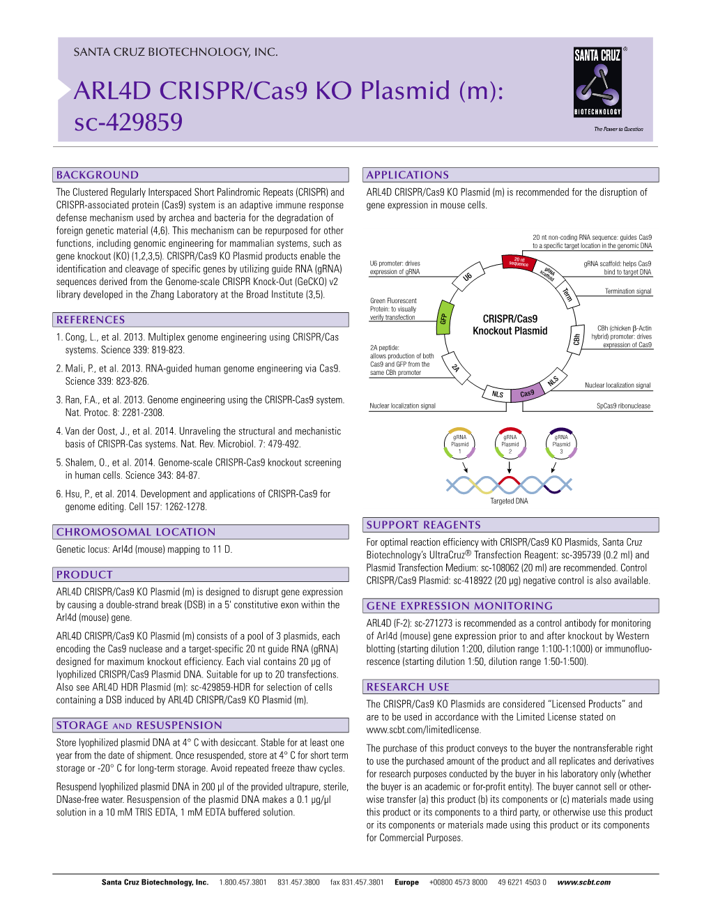 ARL4D CRISPR/Cas9 KO Plasmid (M): Sc-429859