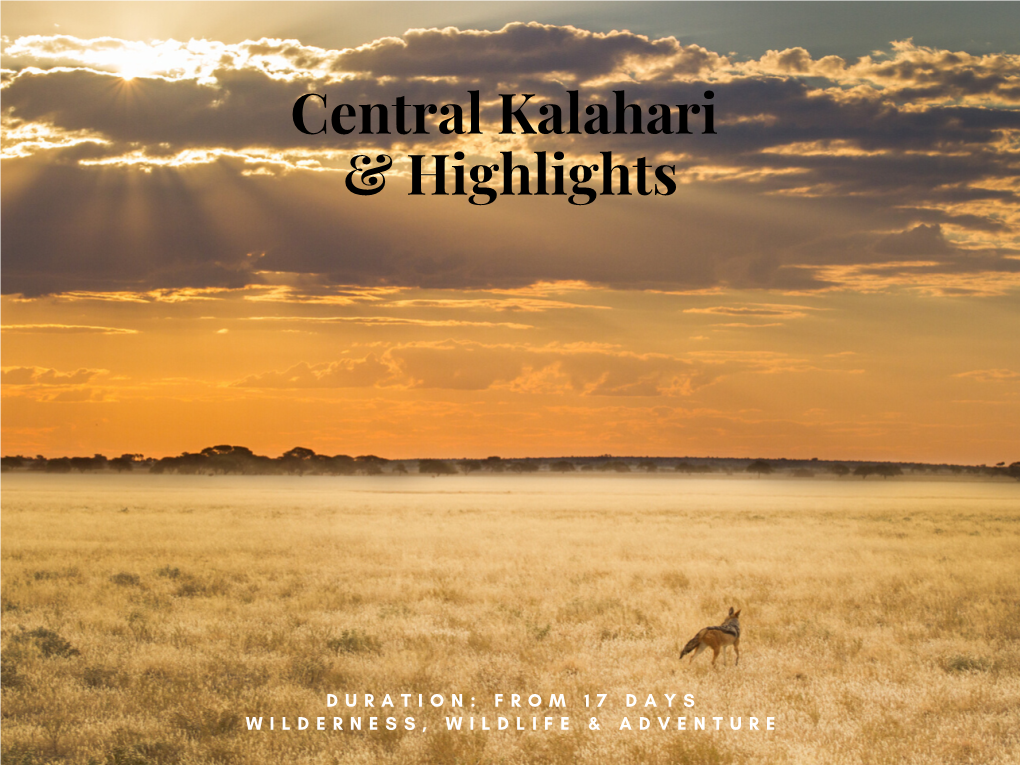 Central Kalahari & Highlights