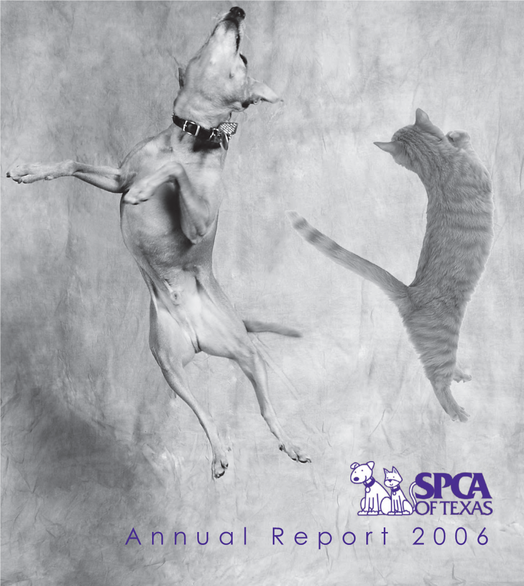 Annual Report 2006 Dr