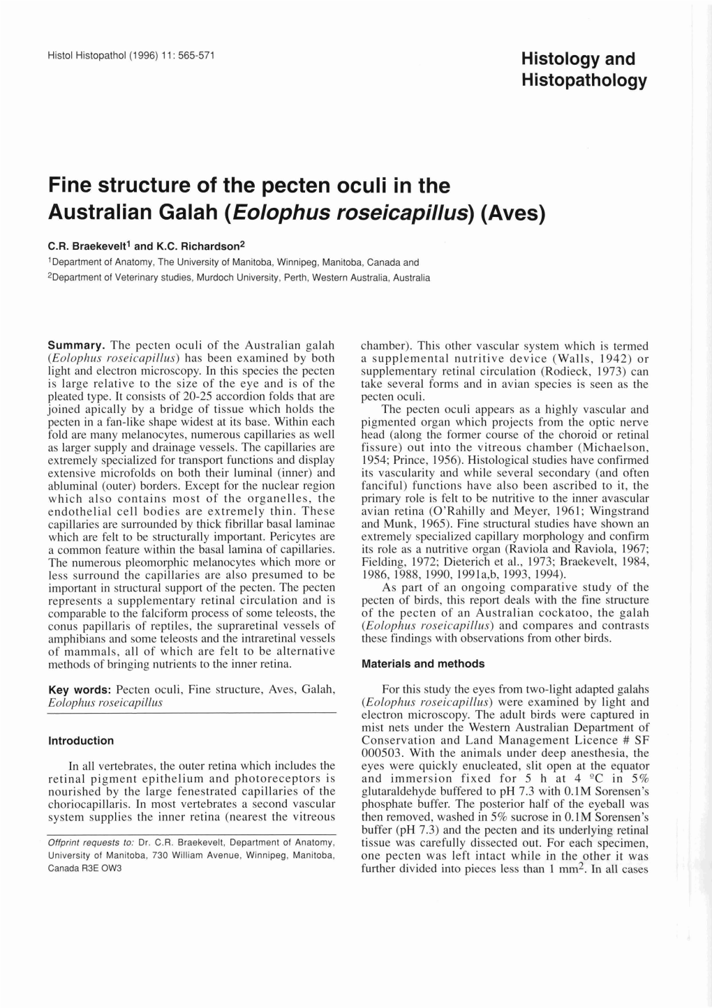 Fine Structure of the Pecten Oculi in the Austral Ian Gala H (Eolophus Roseicapillus) (Aves)