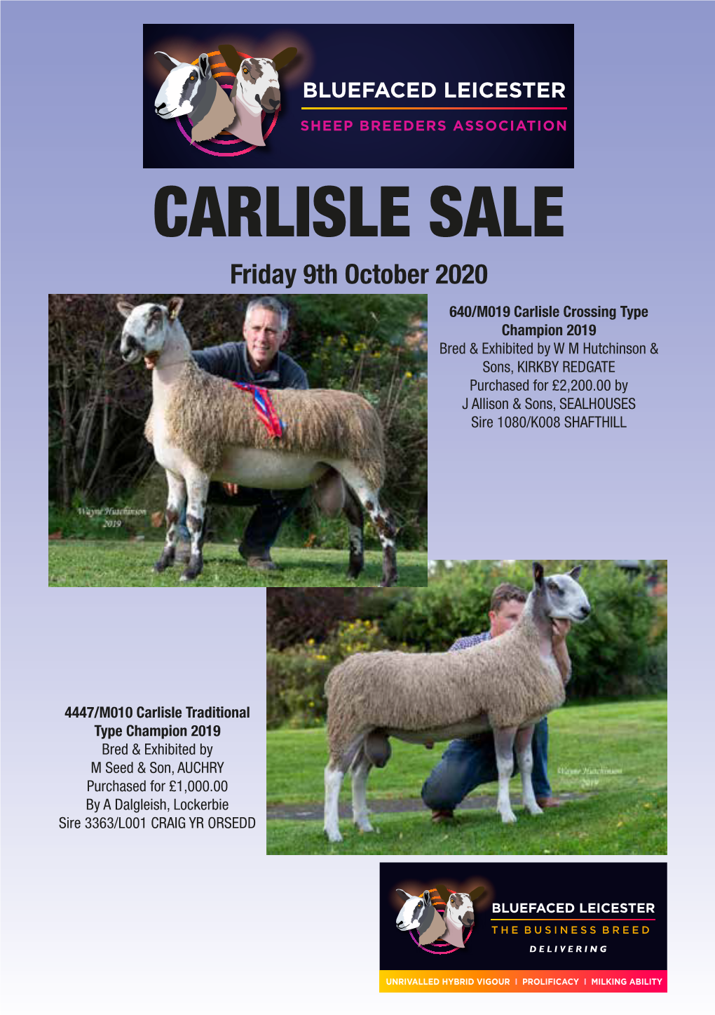 Carlisle Sale