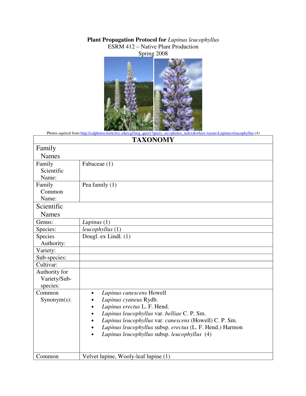 TAXONOMY Family Names Scientific Names