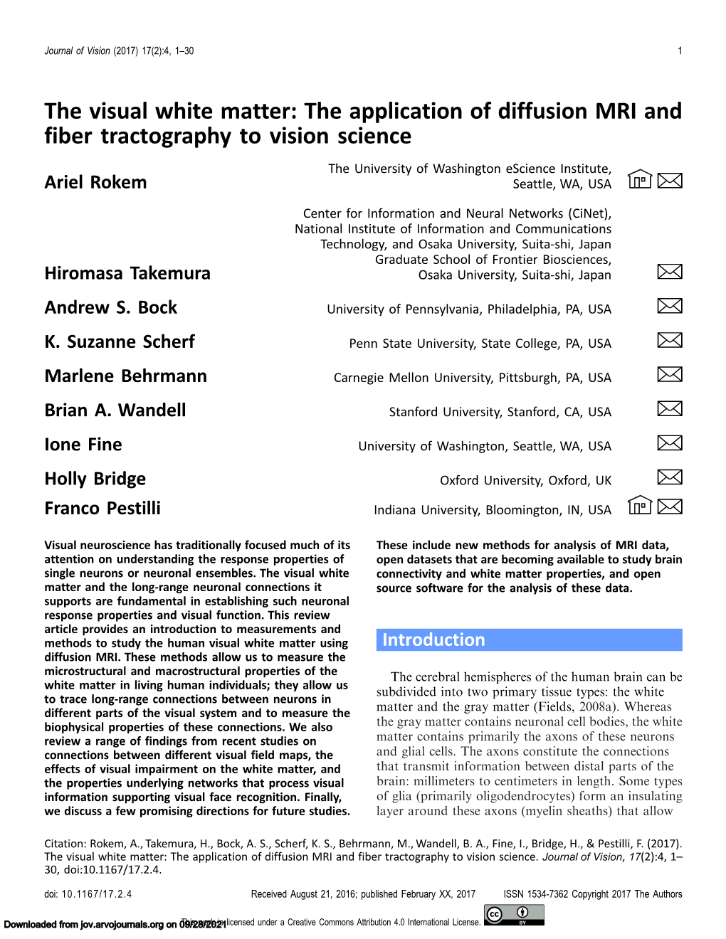 The Visual White Matter