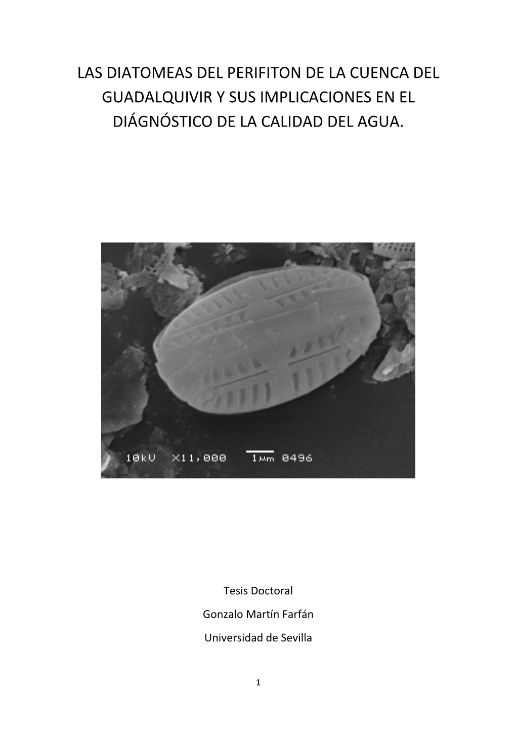 Las Diatomeas Del Perifiton De La Cuenca Del Guadalquivir Y Sus Implicaciones En El Diágnóstico De La Calidad Del Agua