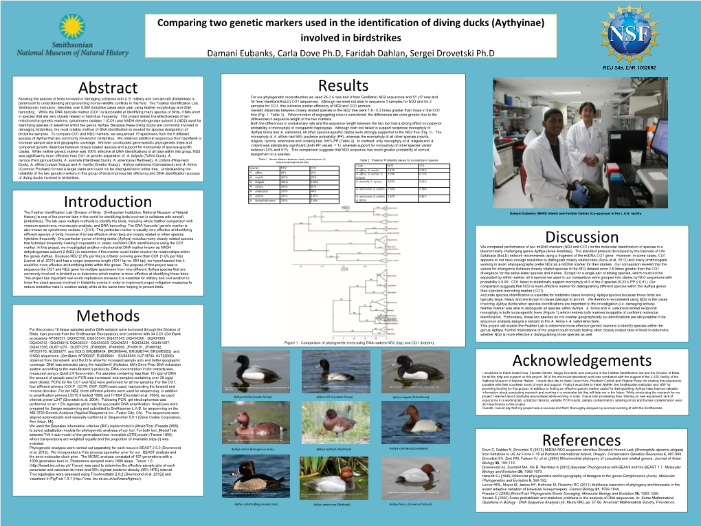 Comparing Two Genetic Markers Used in the Identification of Diving