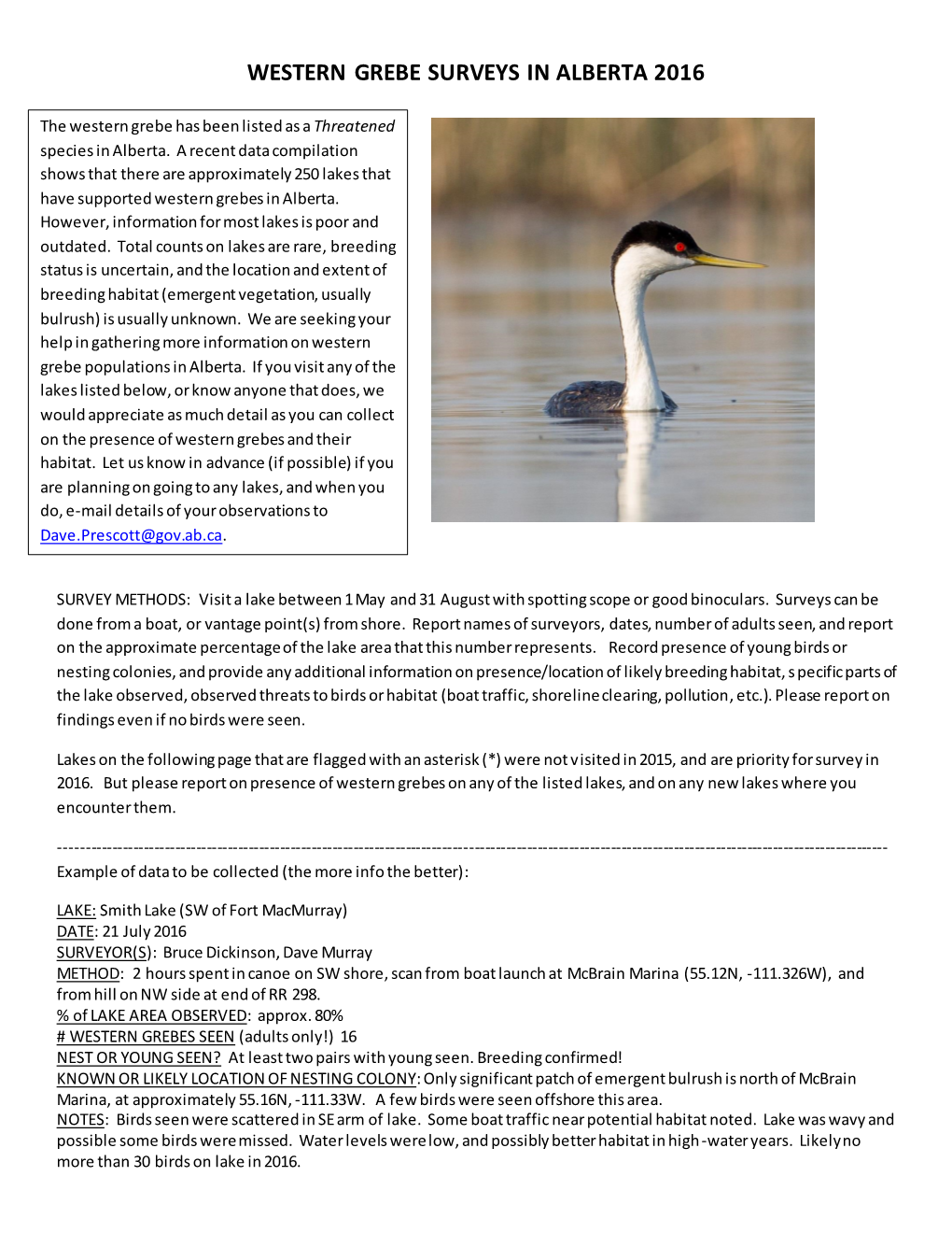 Western Grebe Surveys in Alberta 2016