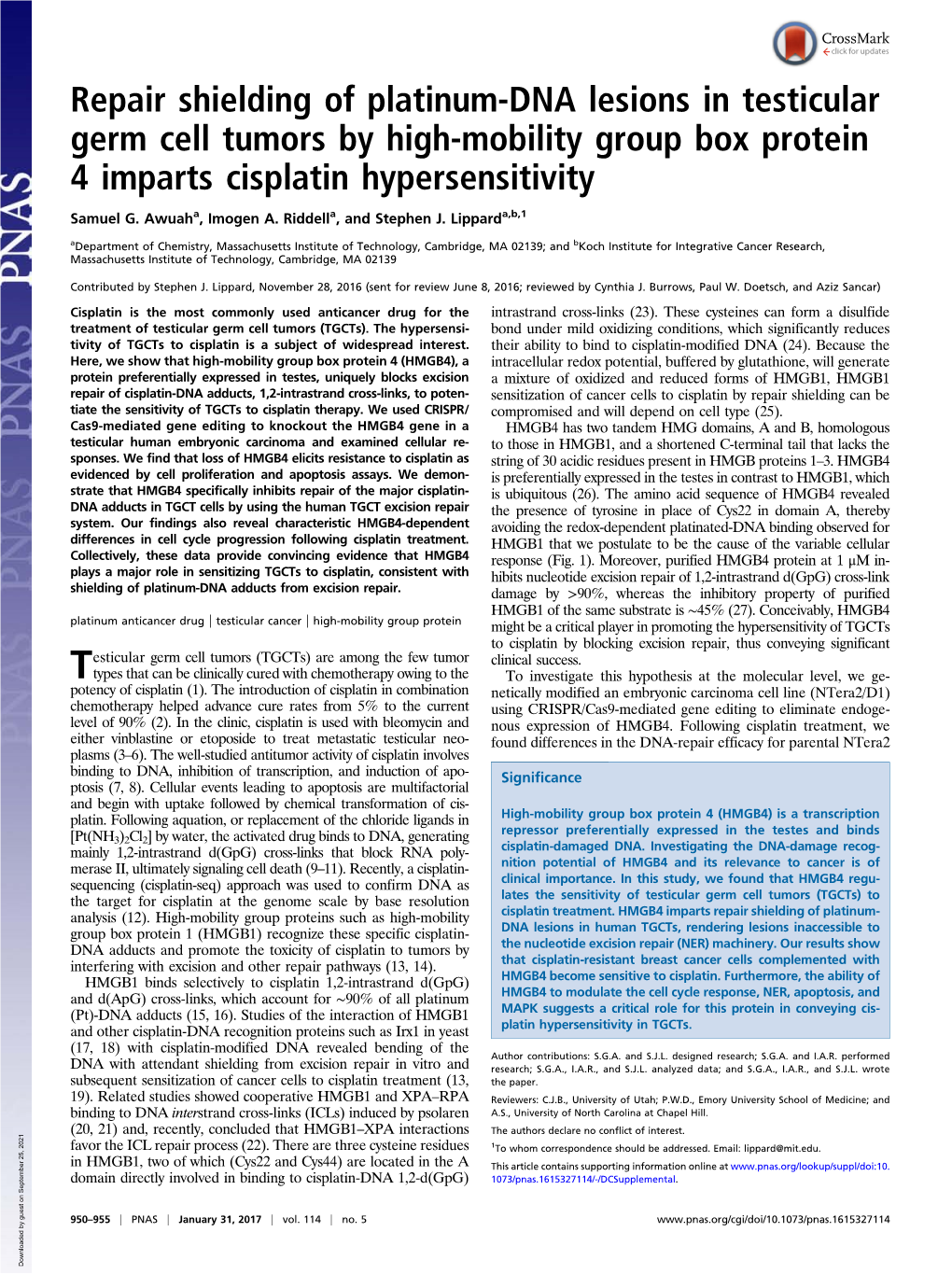 Repair Shielding of Platinum-DNA Lesions in Testicular Germ Cell Tumors by High-Mobility Group Box Protein 4 Imparts Cisplatin Hypersensitivity