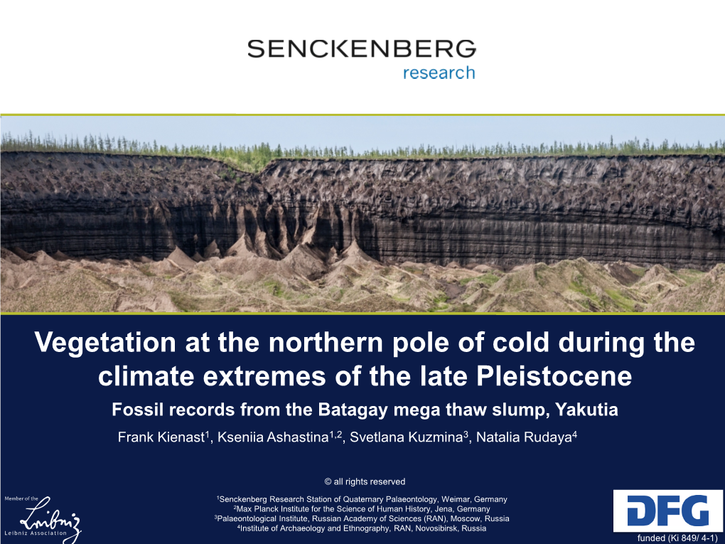 Vegetation at the Northern Pole of Cold During the Climate Extremes of the Late Pleistocene