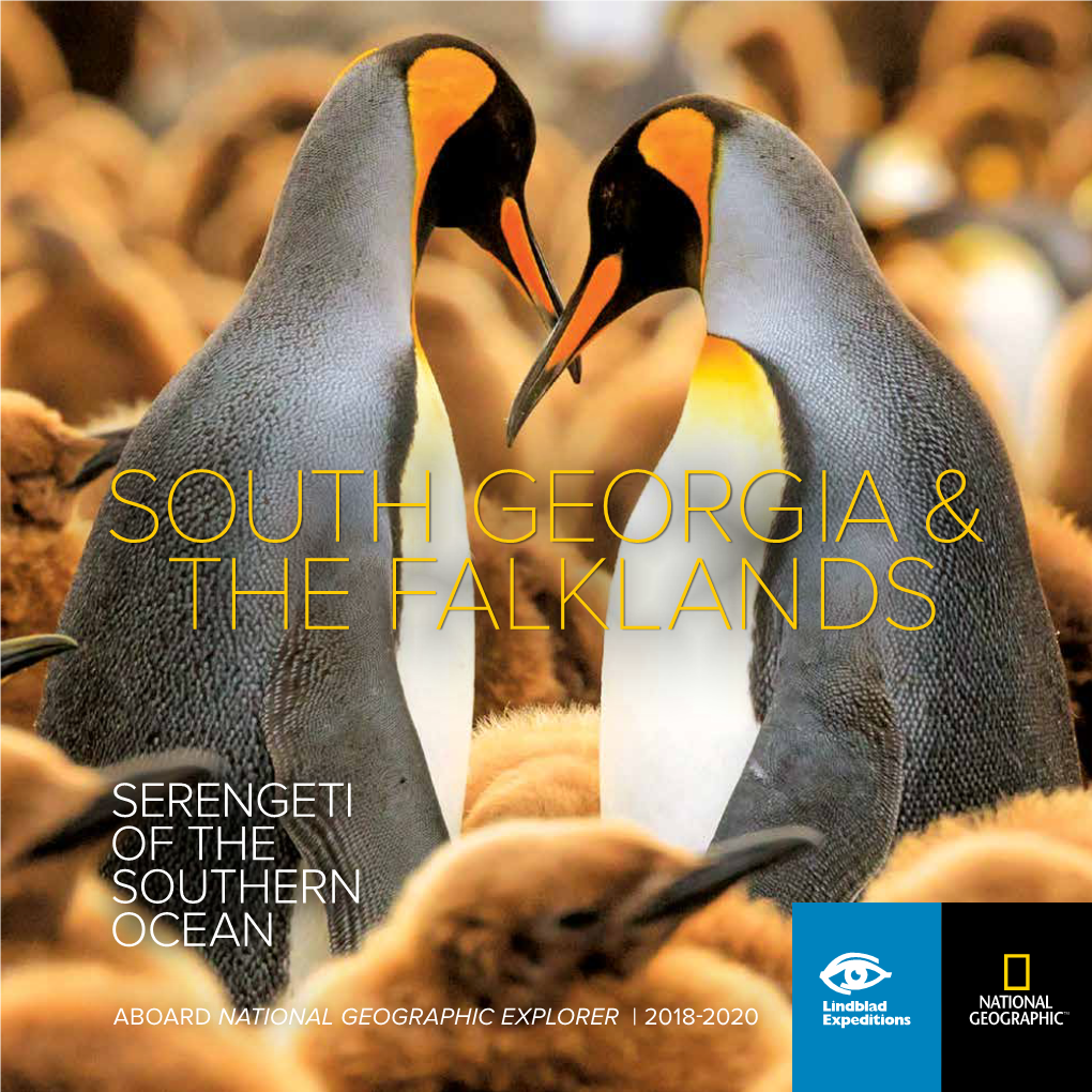 Serengeti of the Southern Ocean