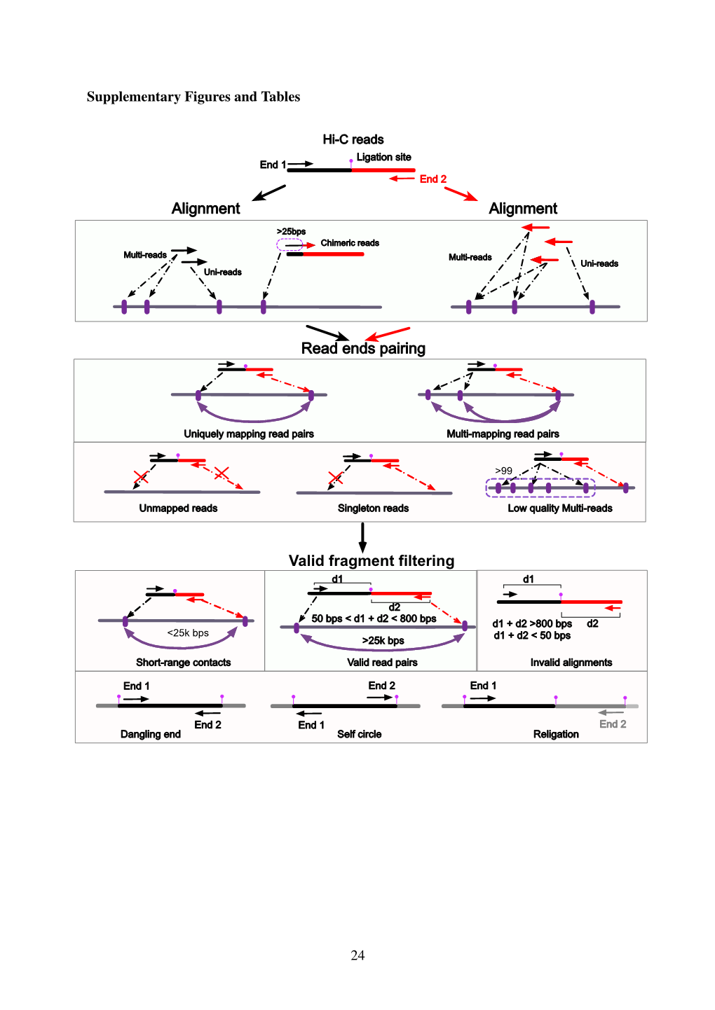 Alignment Alignment Read Ends Pairing Valid Fragment