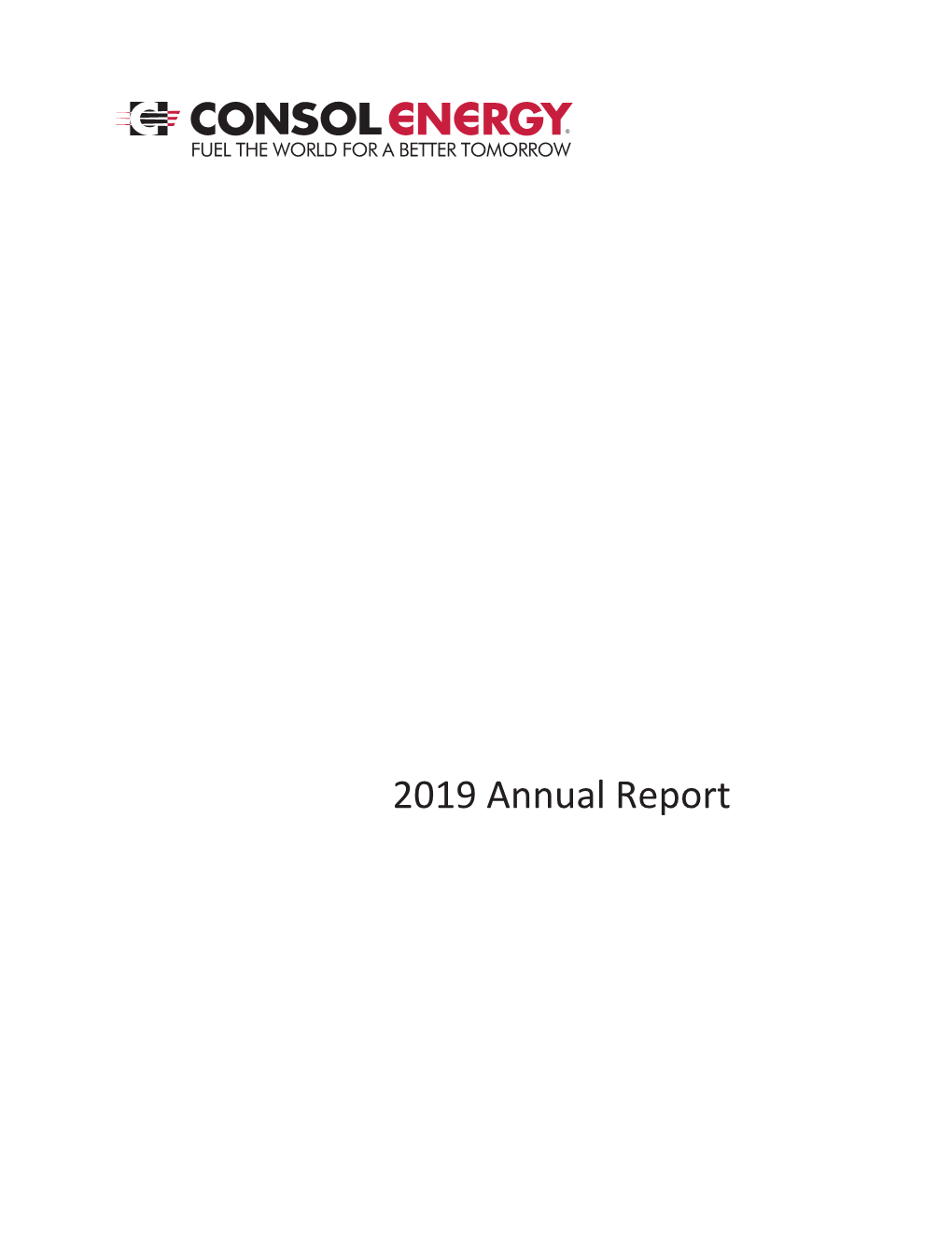 2019 Annual Report Directors