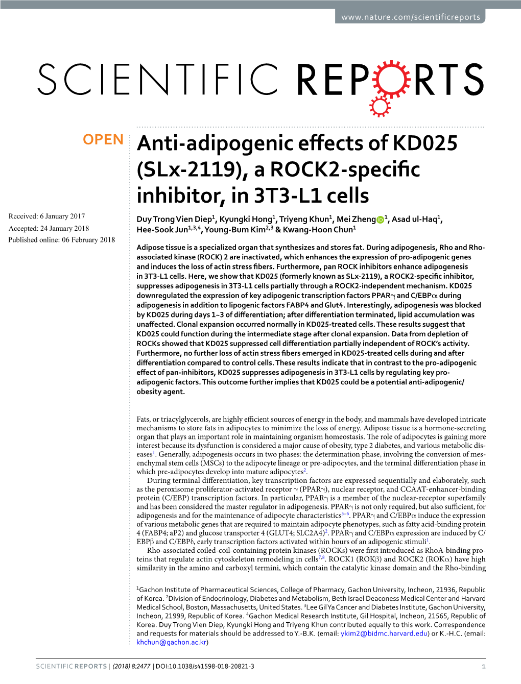 (Slx-2119), a ROCK2-Specific Inhibitor, in 3T3-L1 Cells