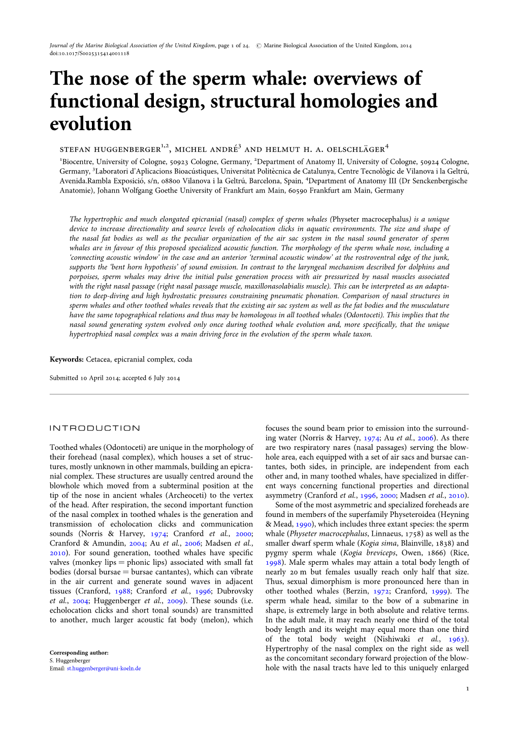 The Nose of the Sperm Whale: Overviews of Functional Design, Structural Homologies and Evolution Stefan Huggenberger1,2, Michel Andre’ 3 and Helmut H