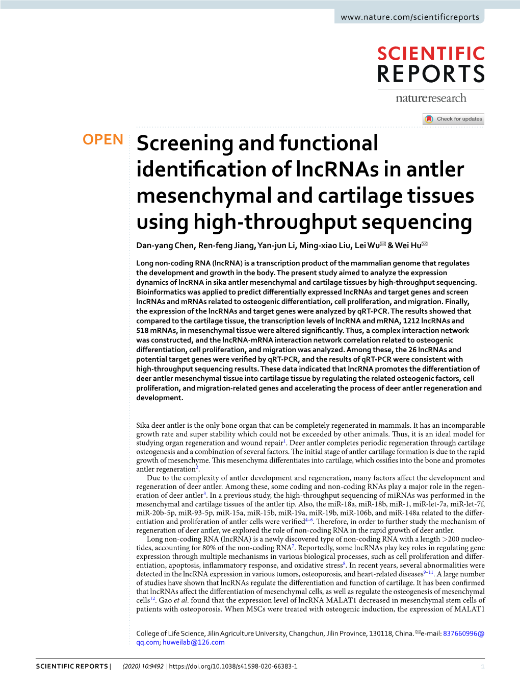 Screening and Functional Identification of Lncrnas in Antler Mesenchymal and Cartilage Tissues Using High-Throughput Sequencing