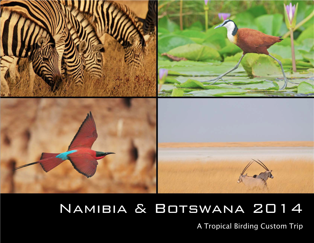 Namibia & Botswana 2014