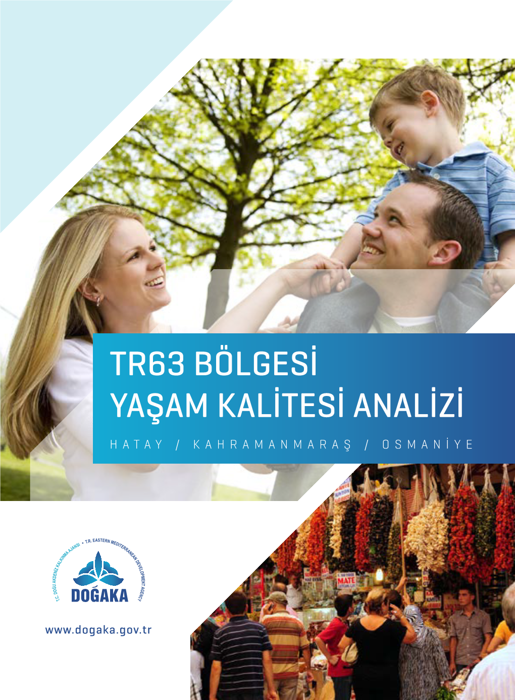 Tr63 Bölgesi Yaşam Kalitesi Analizi